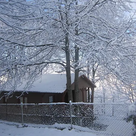 Cinco Castanos Hotel 2*