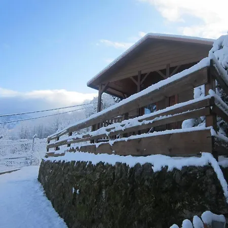 Cinco Castanos Hotel